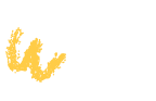 img-2